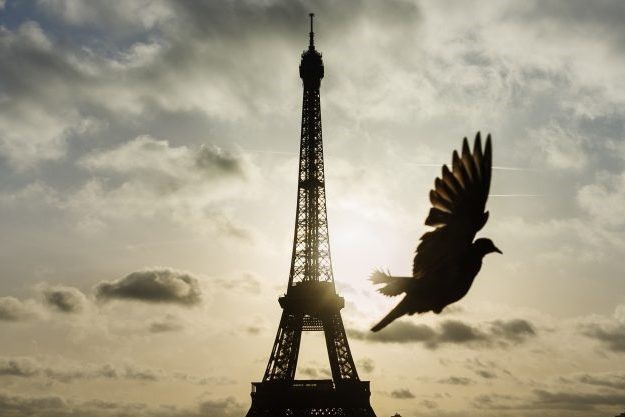 Thoughts on the Paris attacks