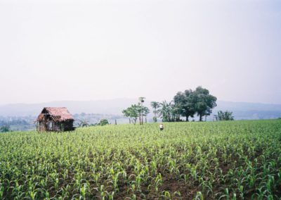 Photo20