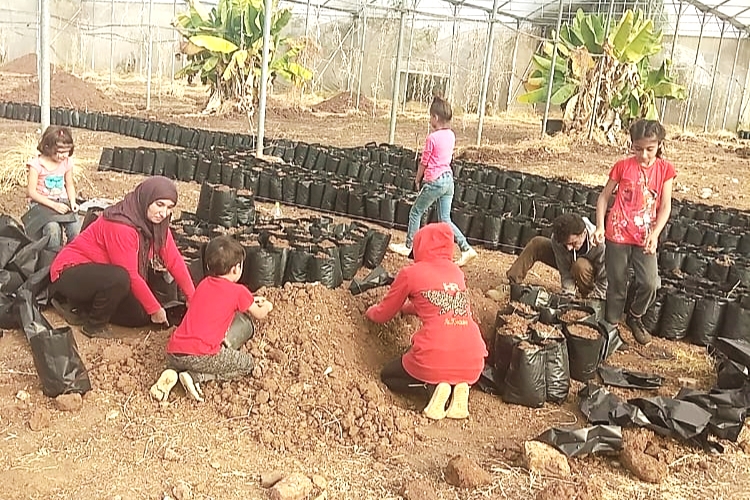 No choice but to toil for Syrian refugee children in Lebanon