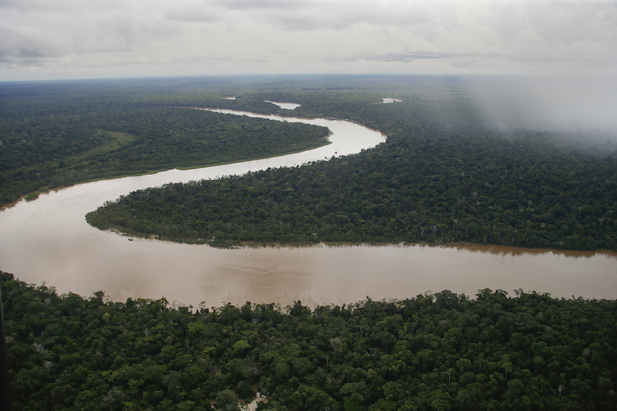 Watch Brazil’s election. The Amazon depends on it.